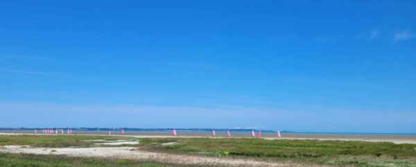 Vivier_sur_mer